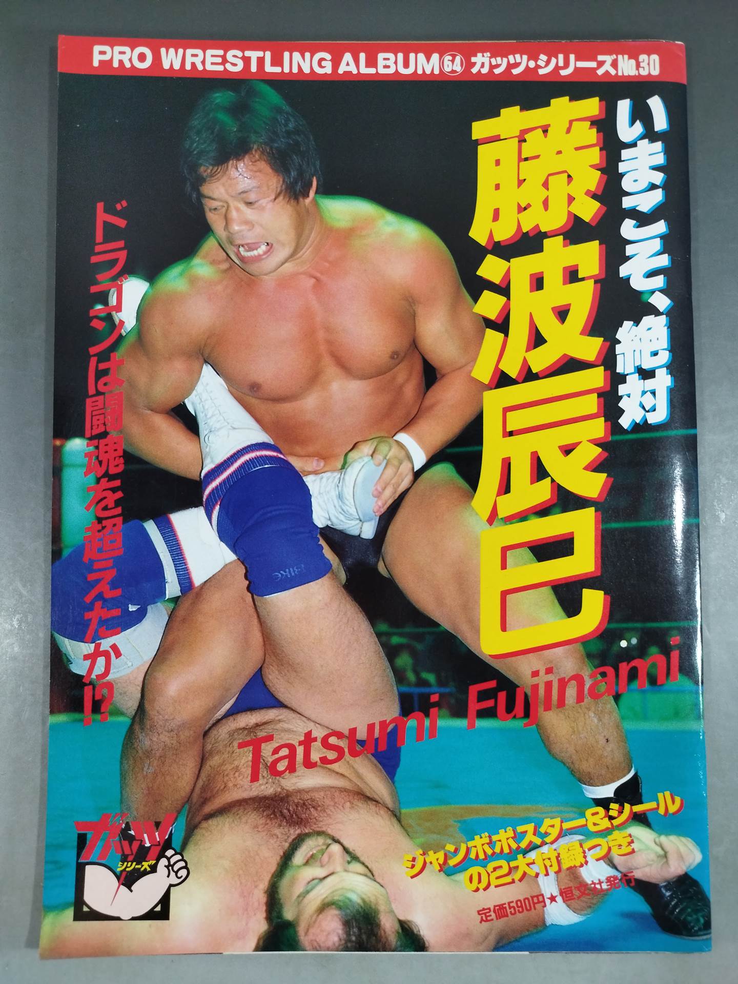 プロレスアルバム64 いまこそ､絶対藤波辰巳