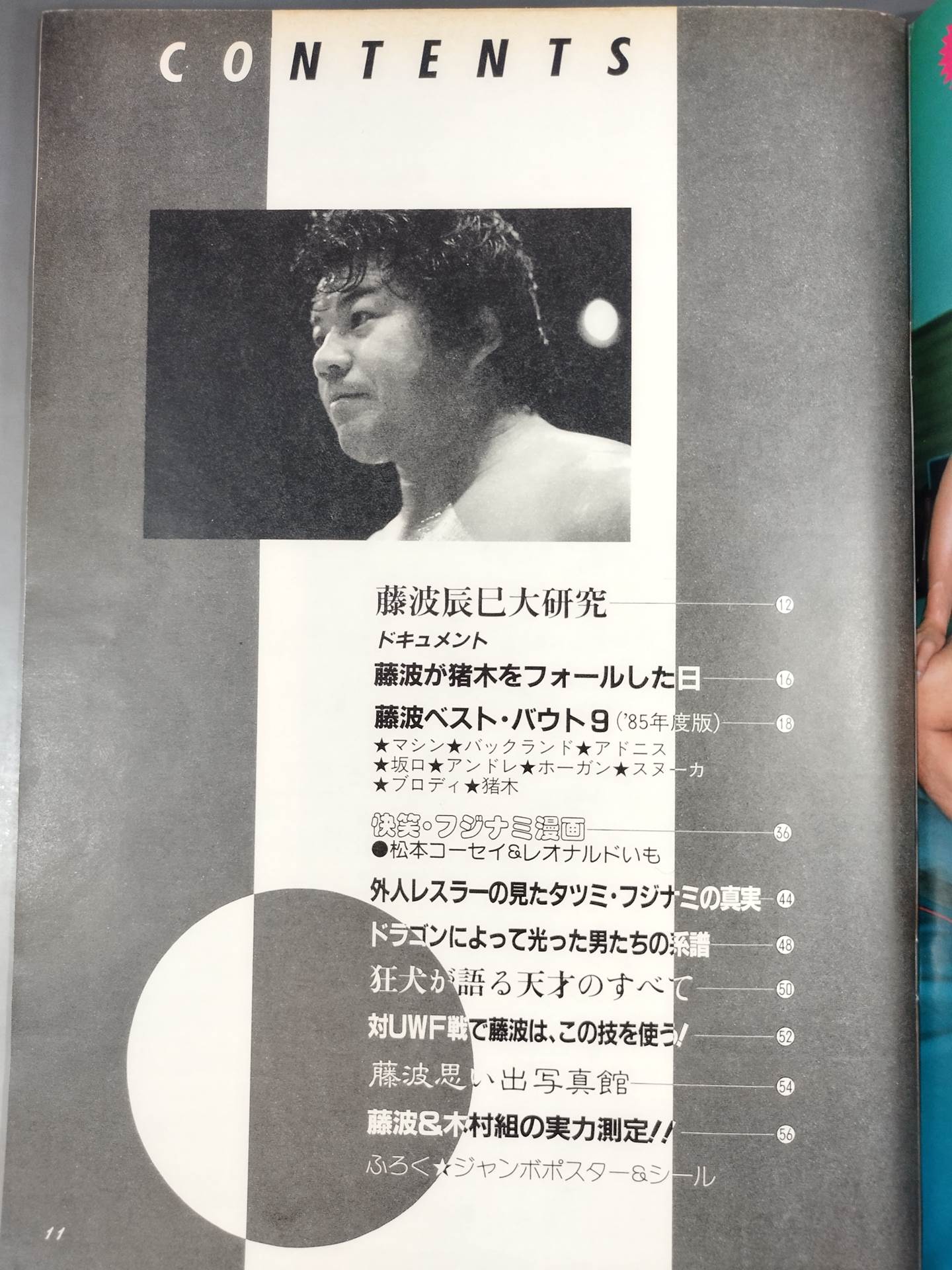 プロレスアルバム64 いまこそ､絶対藤波辰巳