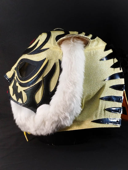 2代目タイガーマスク