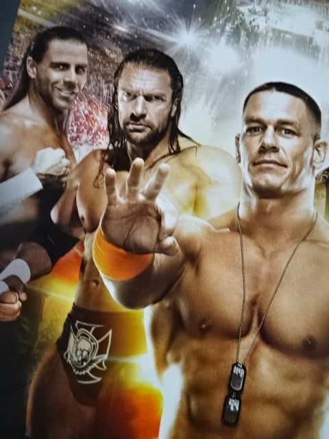 WWE WRESTLEMANIA XXⅥ / レッスルマニア 26 PPVフルサイズ