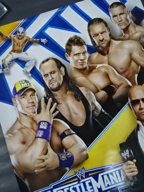 WRESTLEMANIA XXⅦ / レッスルマニア 27 – 闘道館