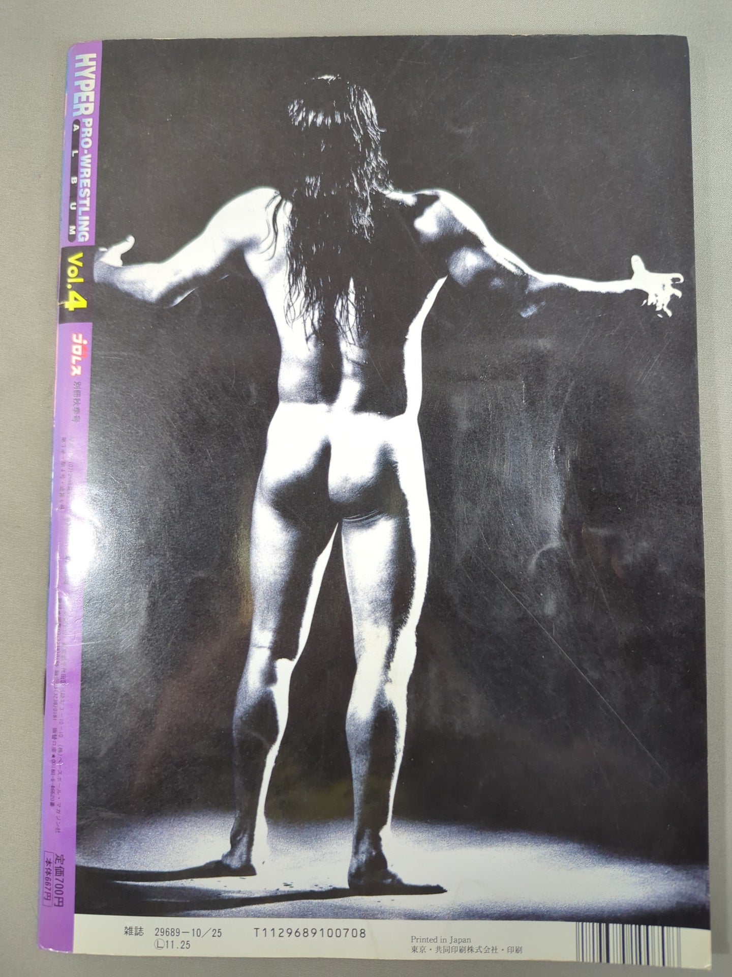 Hyper Pro Wrestling  Album 4 HAYABUSA