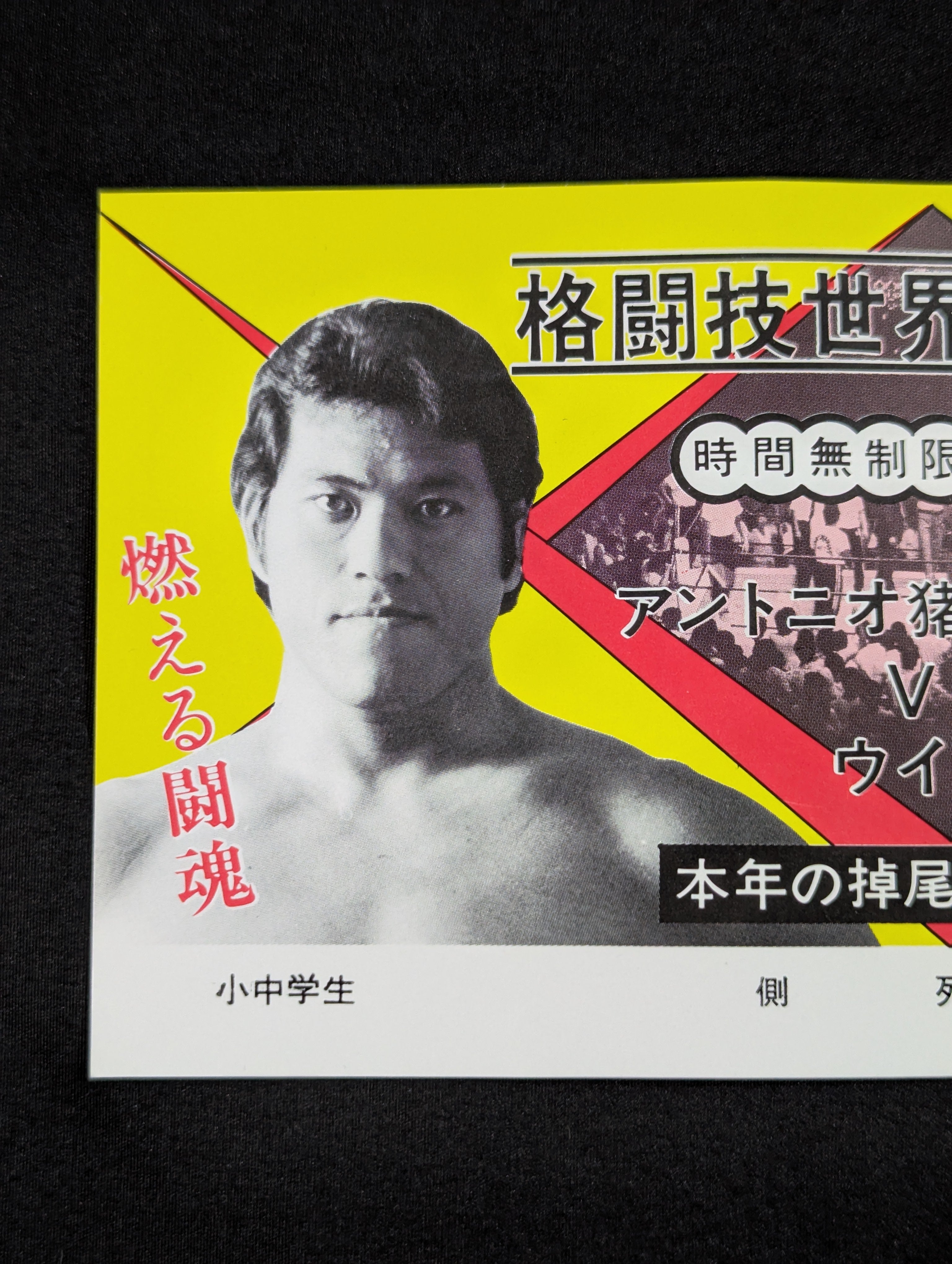 ☆格闘技世界一決定戦☆ アントニオ猪木vsウイリエム・ルスカ – 闘道館