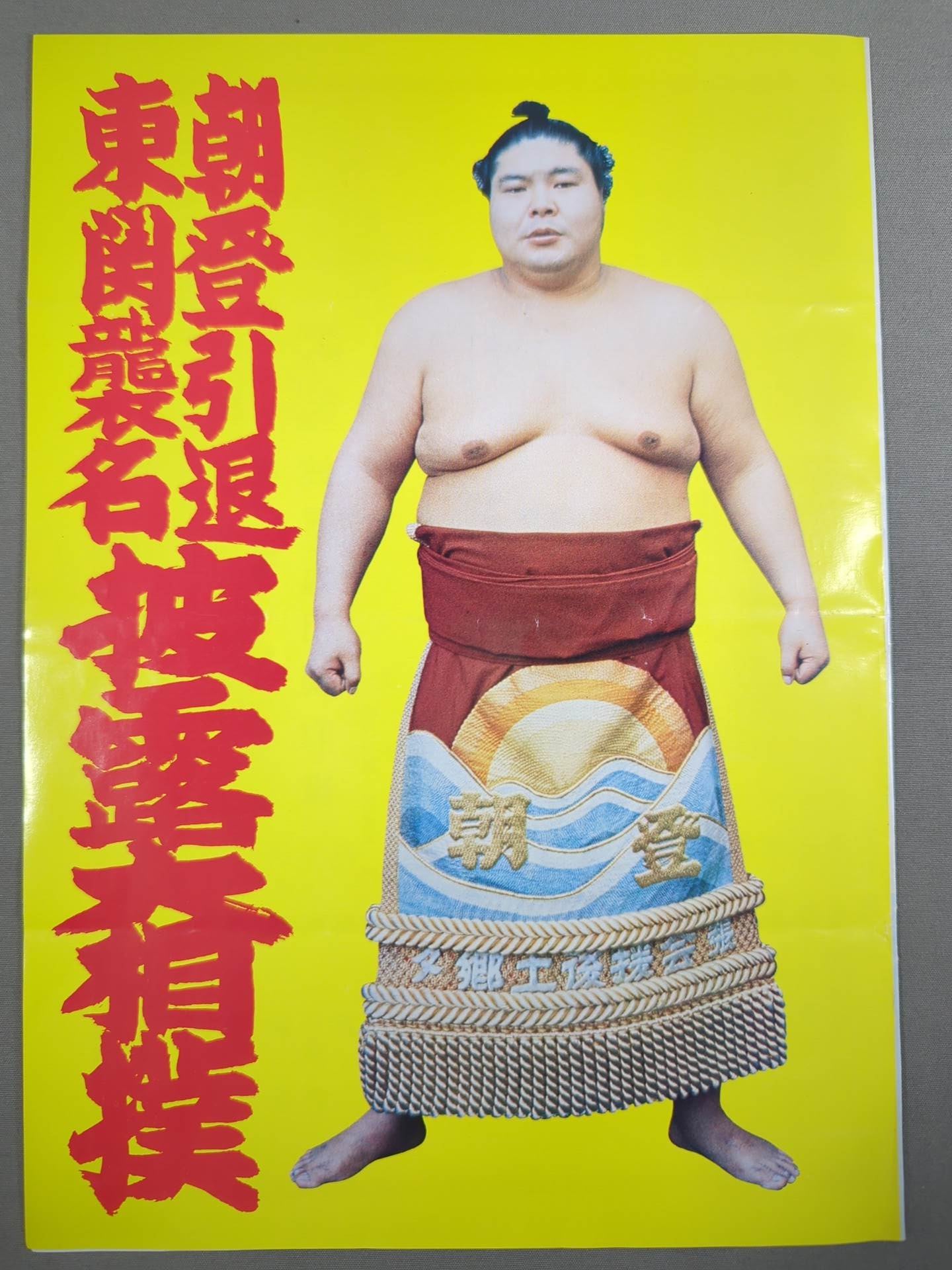 朝登引退・東関襲名 披露大相撲 取組表