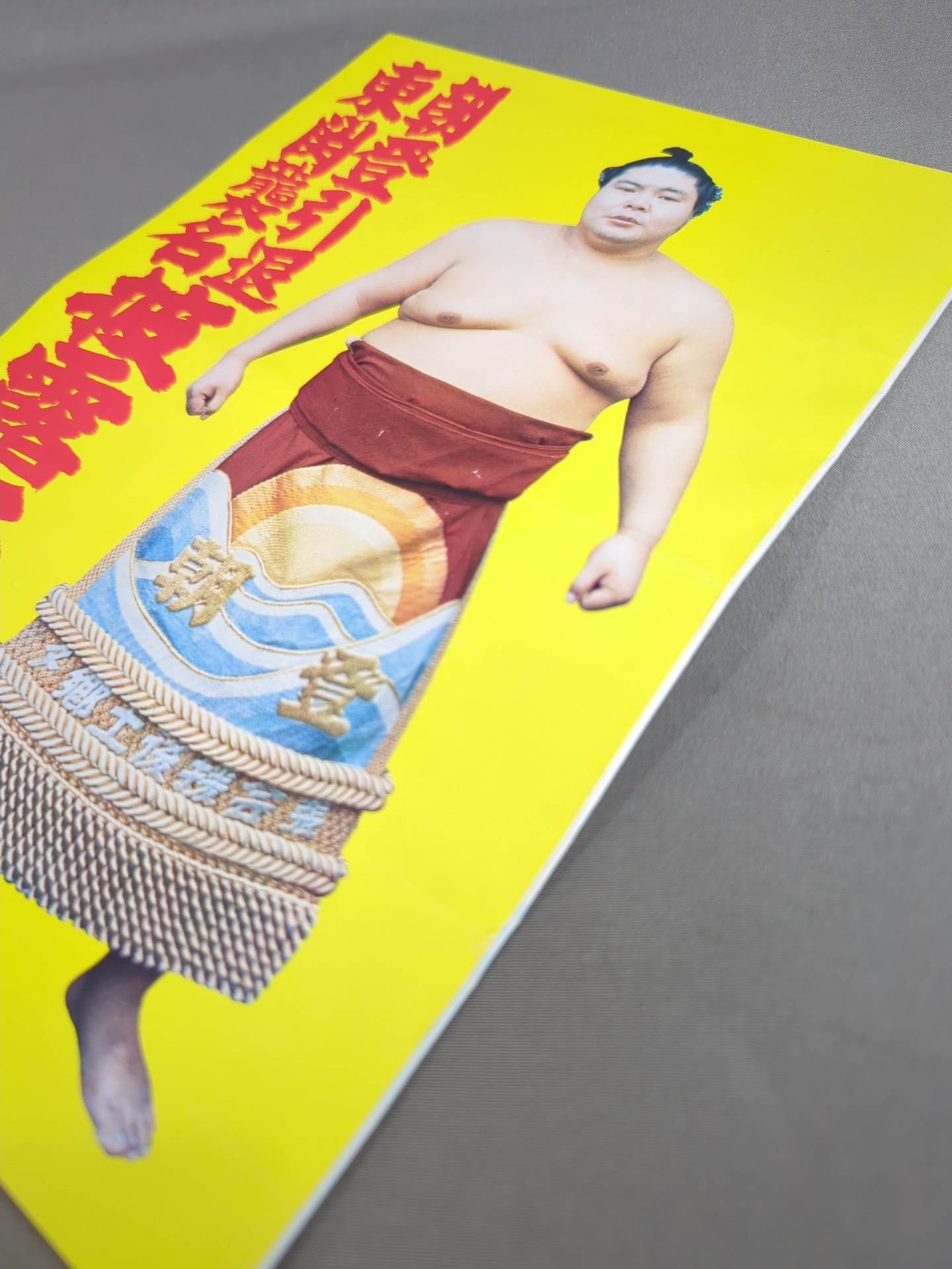 朝登引退・東関襲名 披露大相撲 取組表