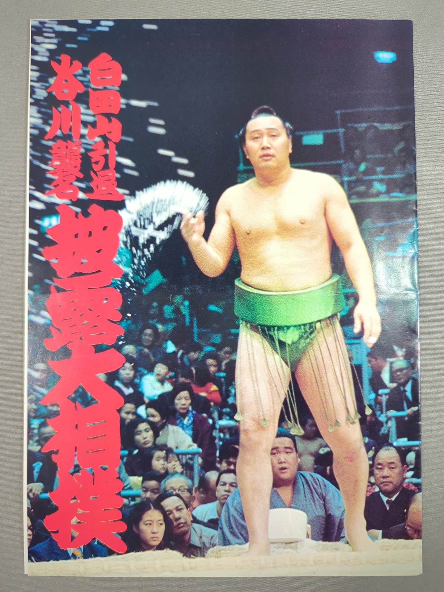 白田山引退・谷川襲名 披露大相撲 取組表