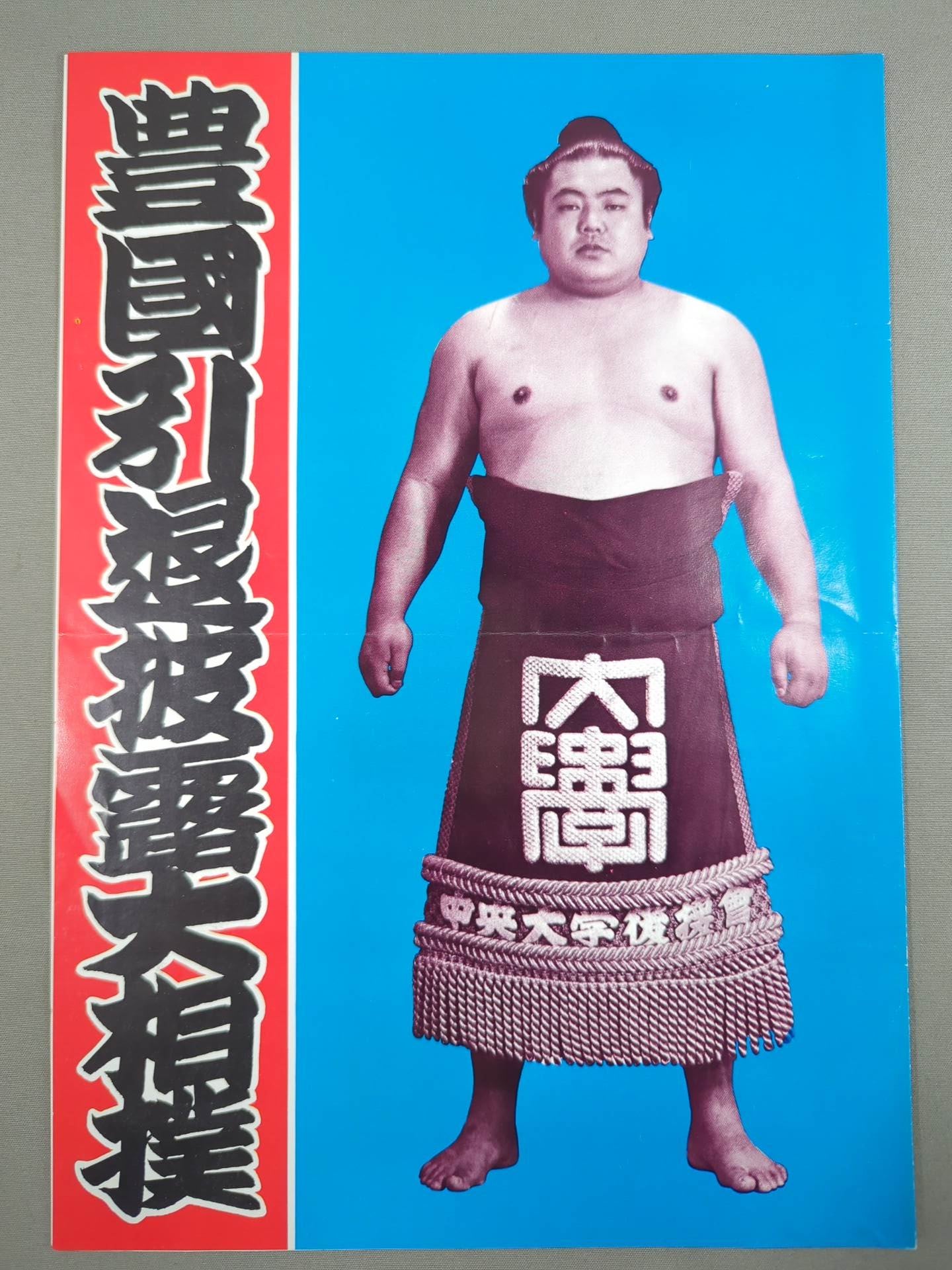 豊國引退 披露大相撲 取組表