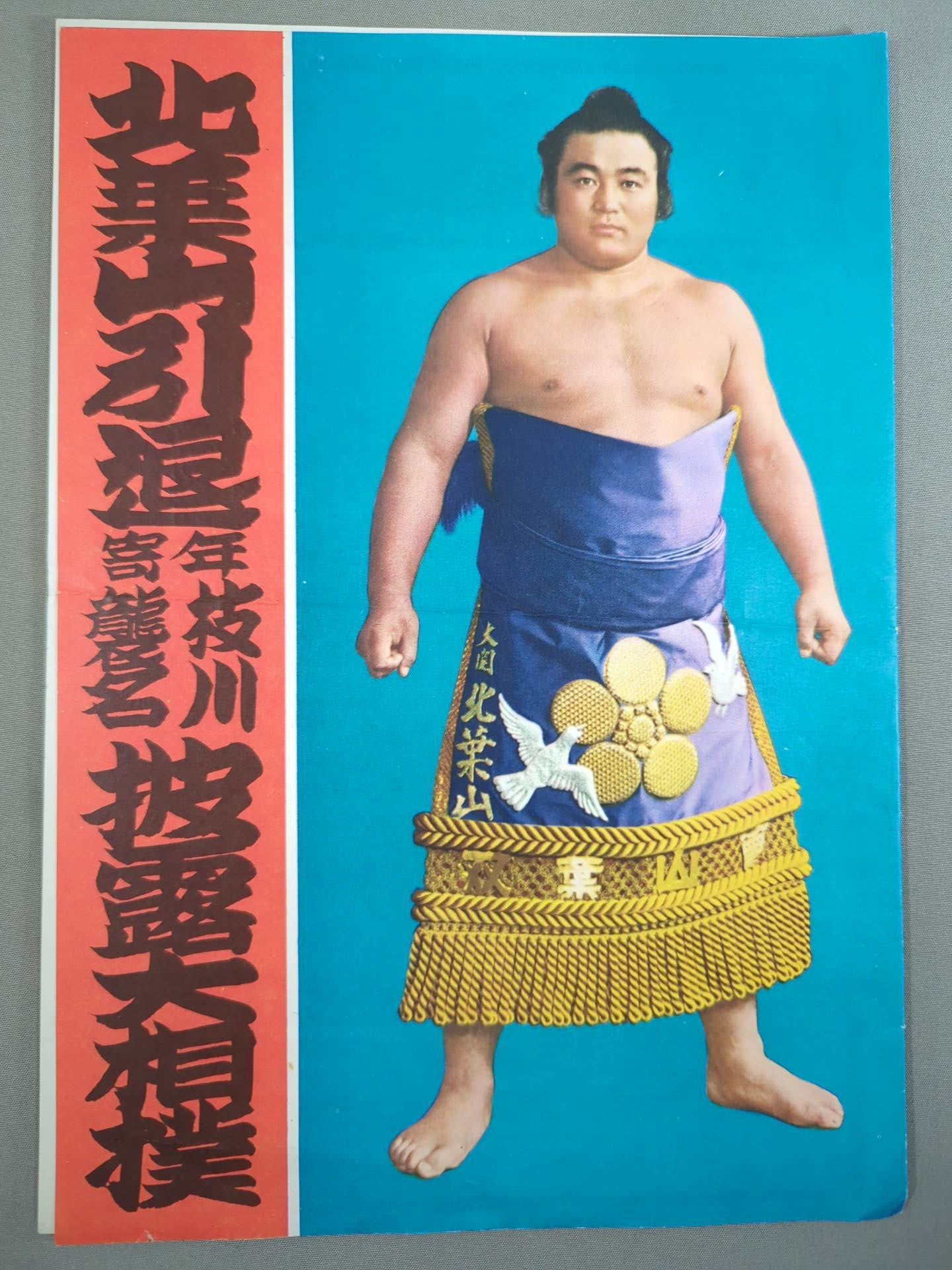 千代大海　関脇昇進記念大皿 千代大海 関脇昇進記念大皿