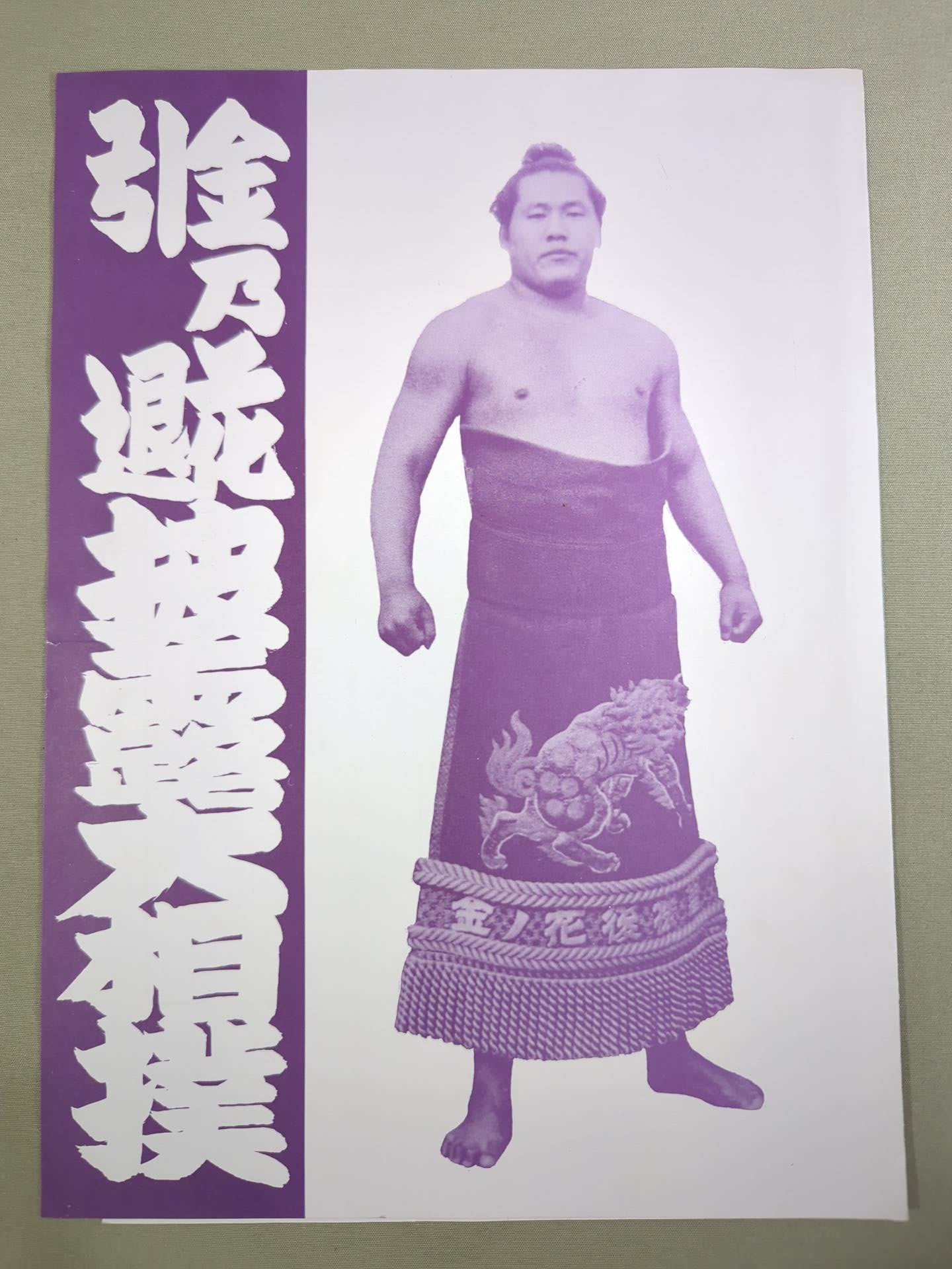 金乃花引退 披露大相撲 取組表