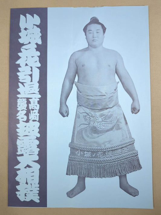 Koshiro no Hana retirement, Takasaki Raida Show-off Sumo List of Matches