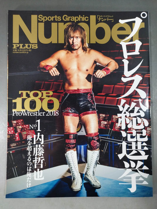 NumberPLUS Pro Wrestling  General Election 2018