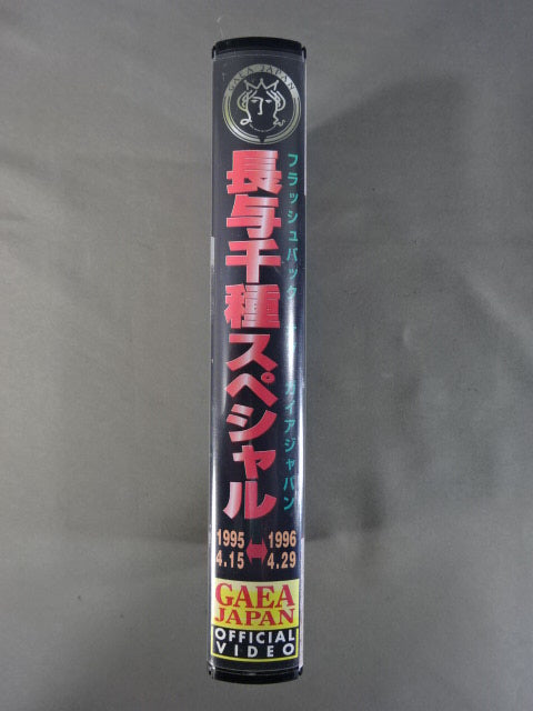 GAEA JAPAN 長与千種スペシャル