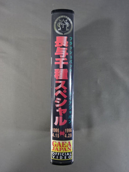 GAEA JAPAN 長与千種スペシャル