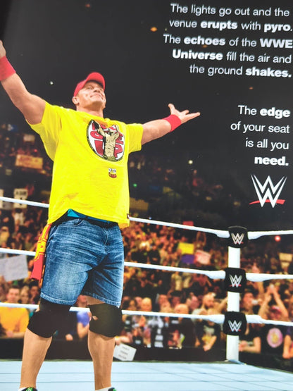 WWE OFFICIAL PROGRAM 2015②