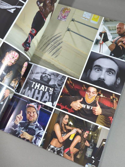 WWE OFFICIAL PROGRAM 2015②