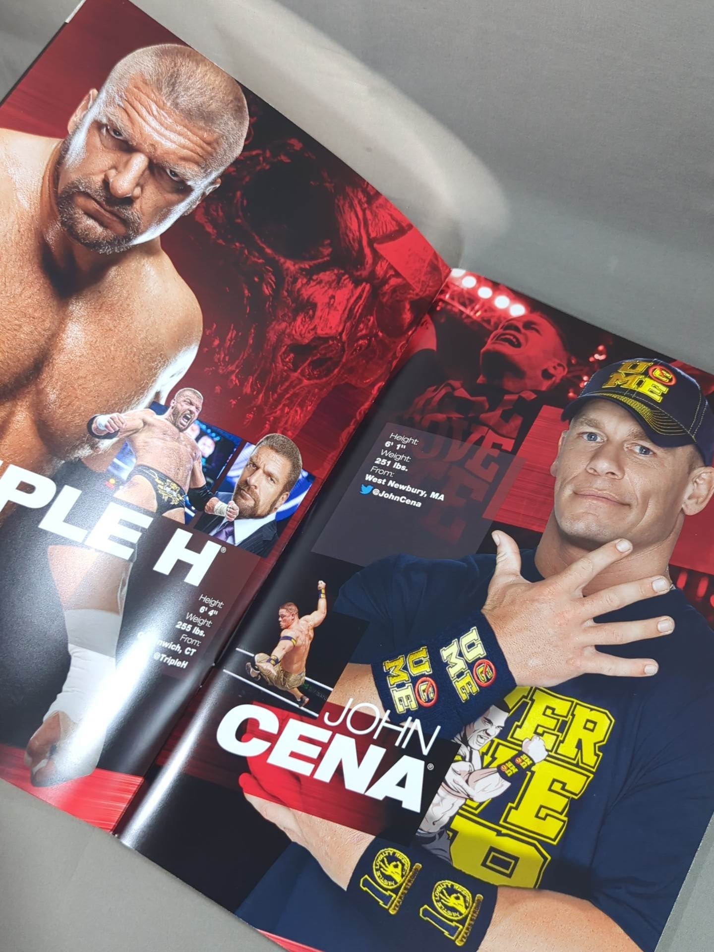 WWE LIVE OFFICIAL PROGRAM 2013