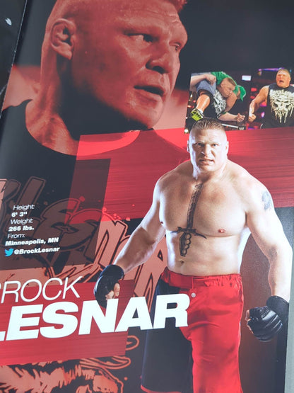 WWE LIVE OFFICIAL PROGRAM 2013