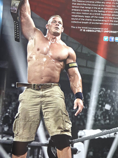 WWE OFFICIAL PROGRAM 2014