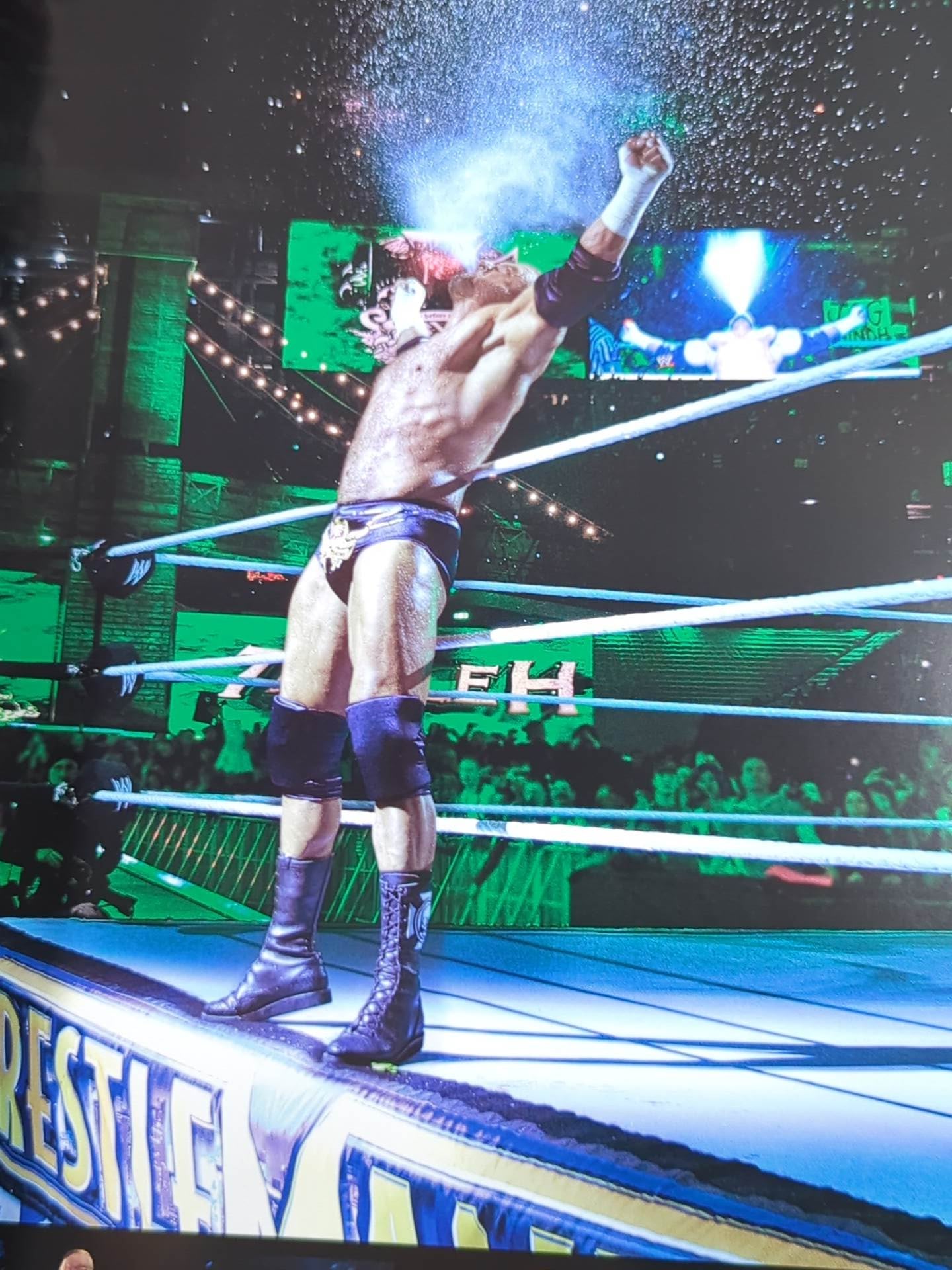 WWE OFFICIAL PROGRAM 2014