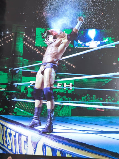 WWE OFFICIAL PROGRAM 2014