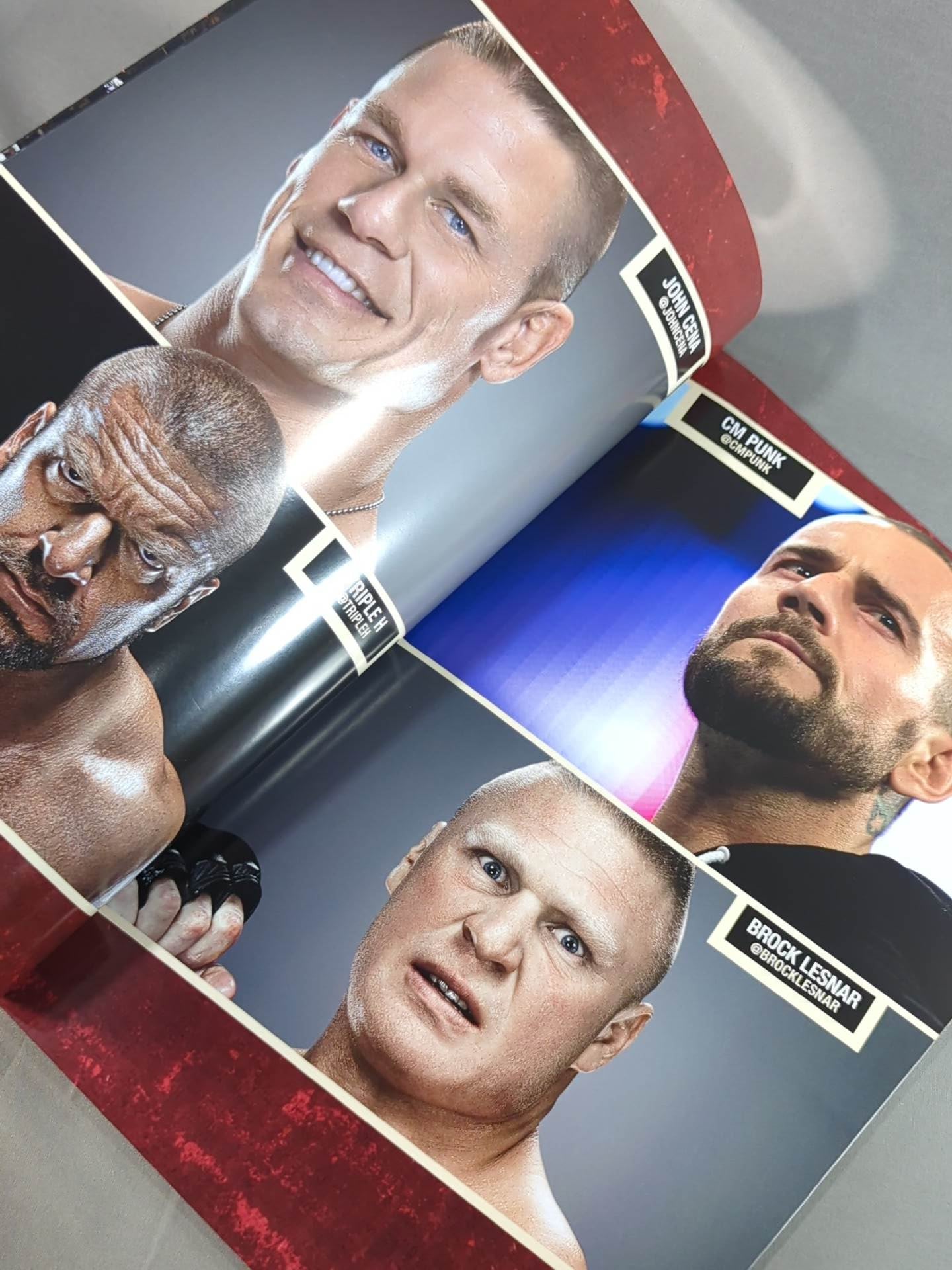 WWE OFFICIAL PROGRAM 2014