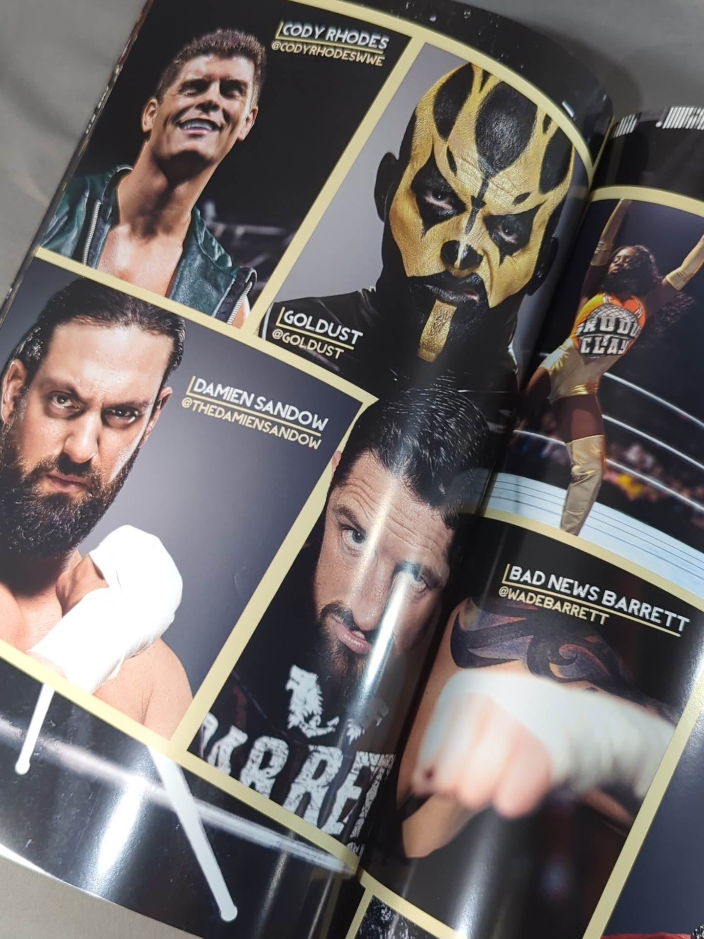 WWE OFFICIAL PROGRAM 2014