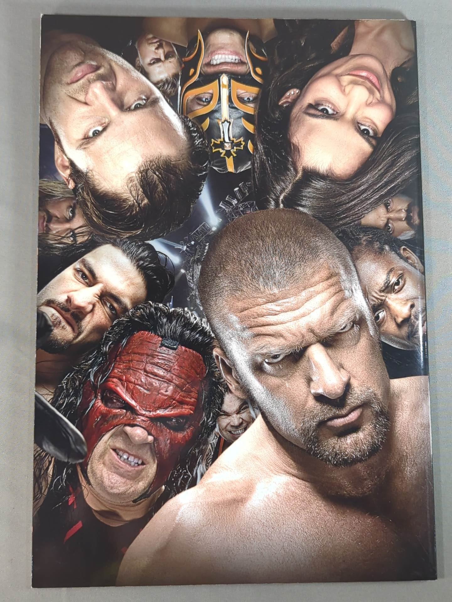 WWE OFFICIAL PROGRAM 2014