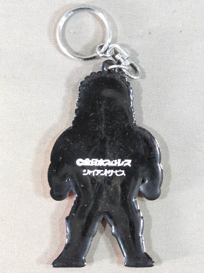 ★ ★ Original Steve Williams Keychain