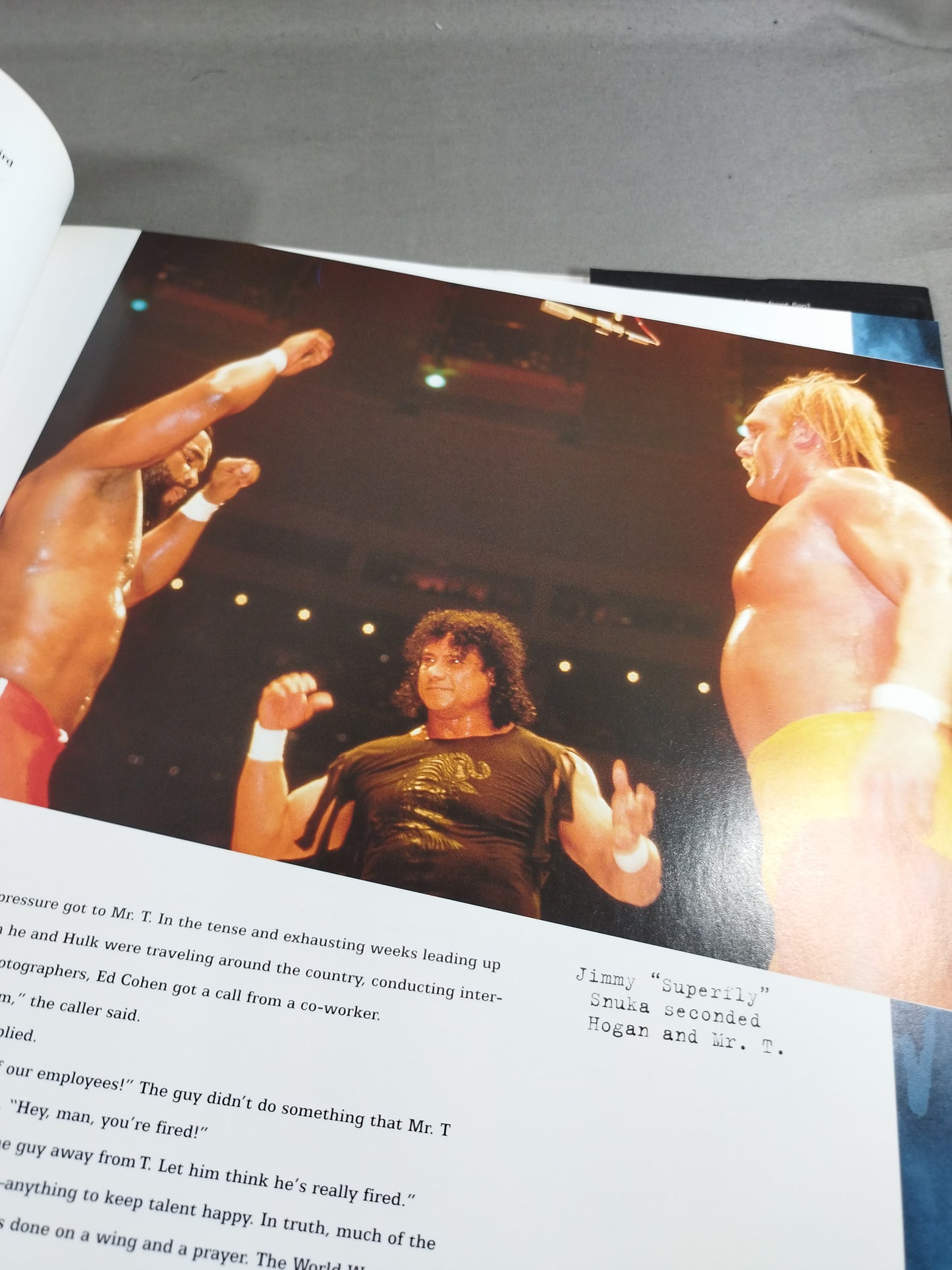 WWF WRESTLE MANIA THE OFFICIAL INSIDER`S STORY
