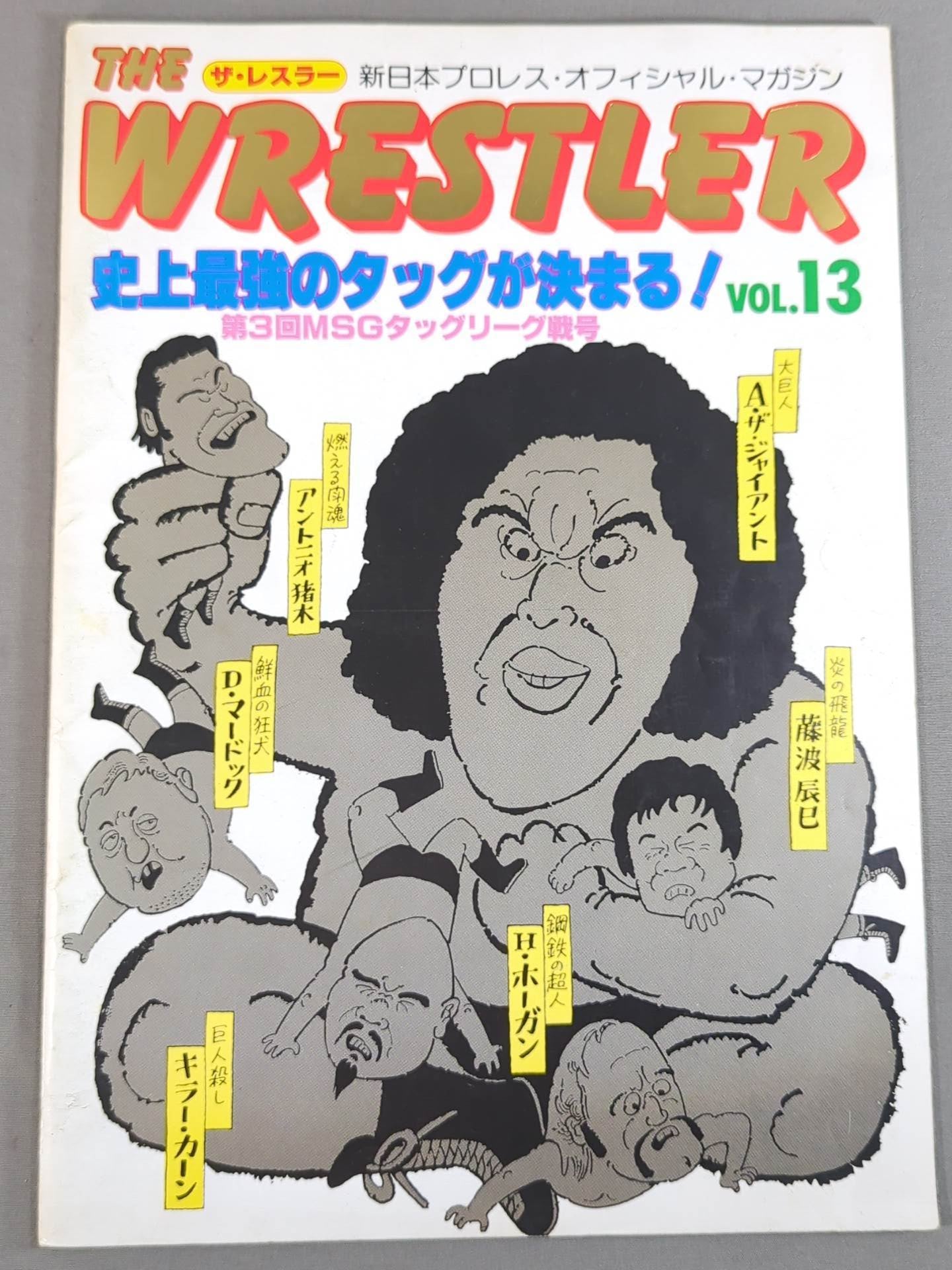 THE WRESTLER 第3回MSGタッグリーグ戦 Vol.13 – 闘道館