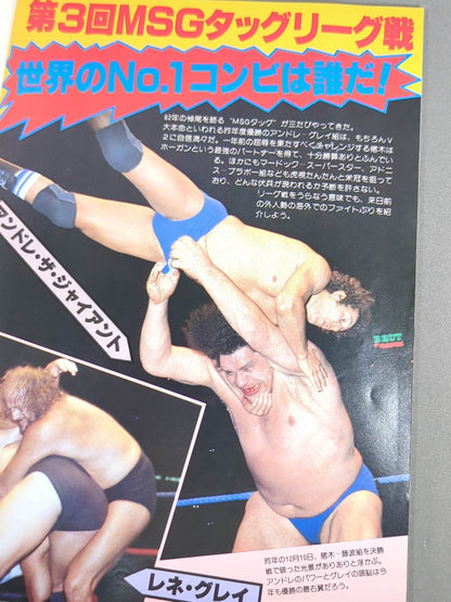 THE WRESTLER 第3回MSGタッグリーグ戦 Vol.13