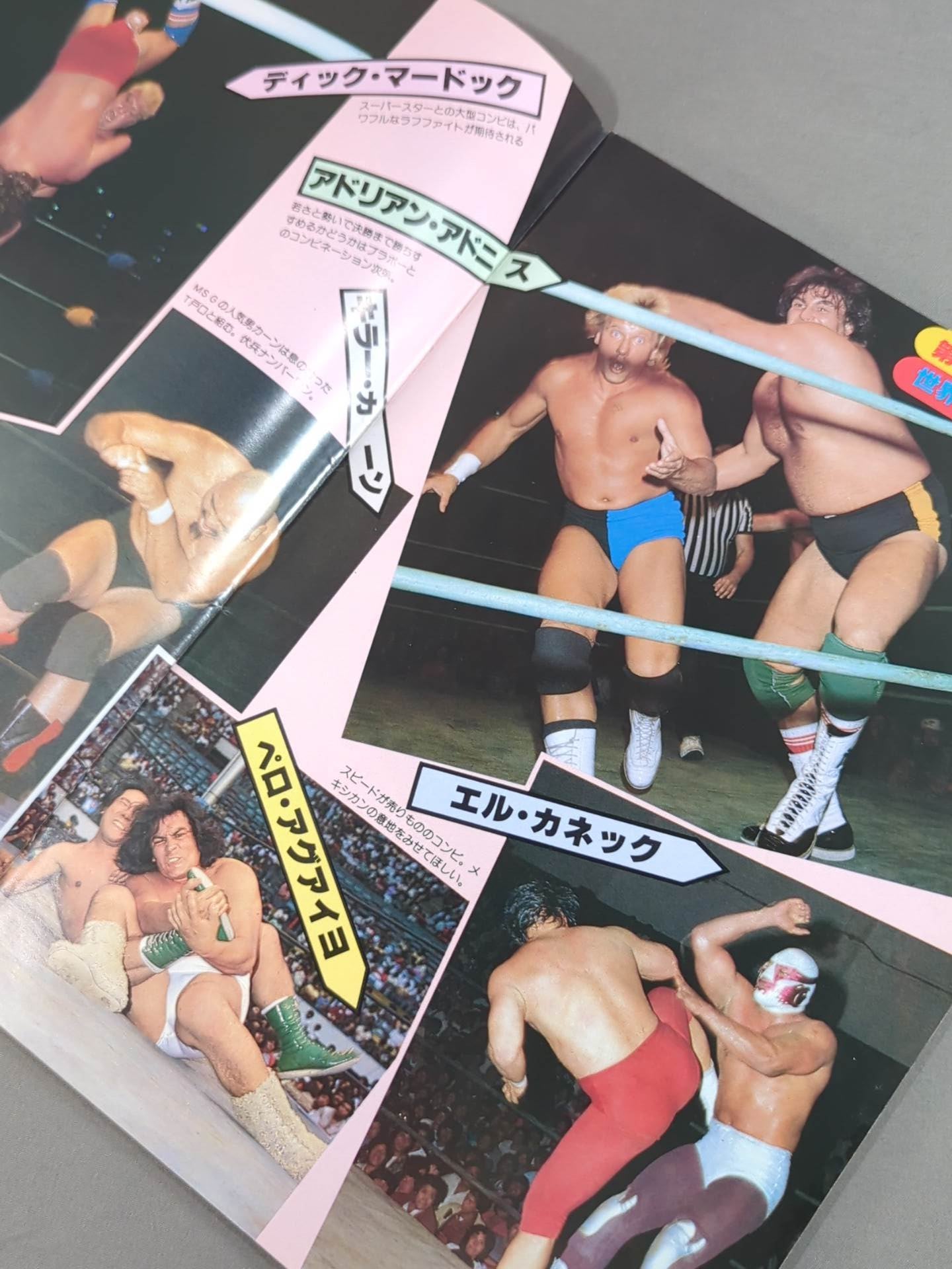 THE WRESTLER 第3回MSGタッグリーグ戦 Vol.13