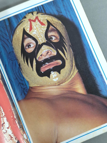 Mil Mascaras  Color Album / MIL MASCARAS COLOR ALBUM (Appendix to the September issue of Gong)