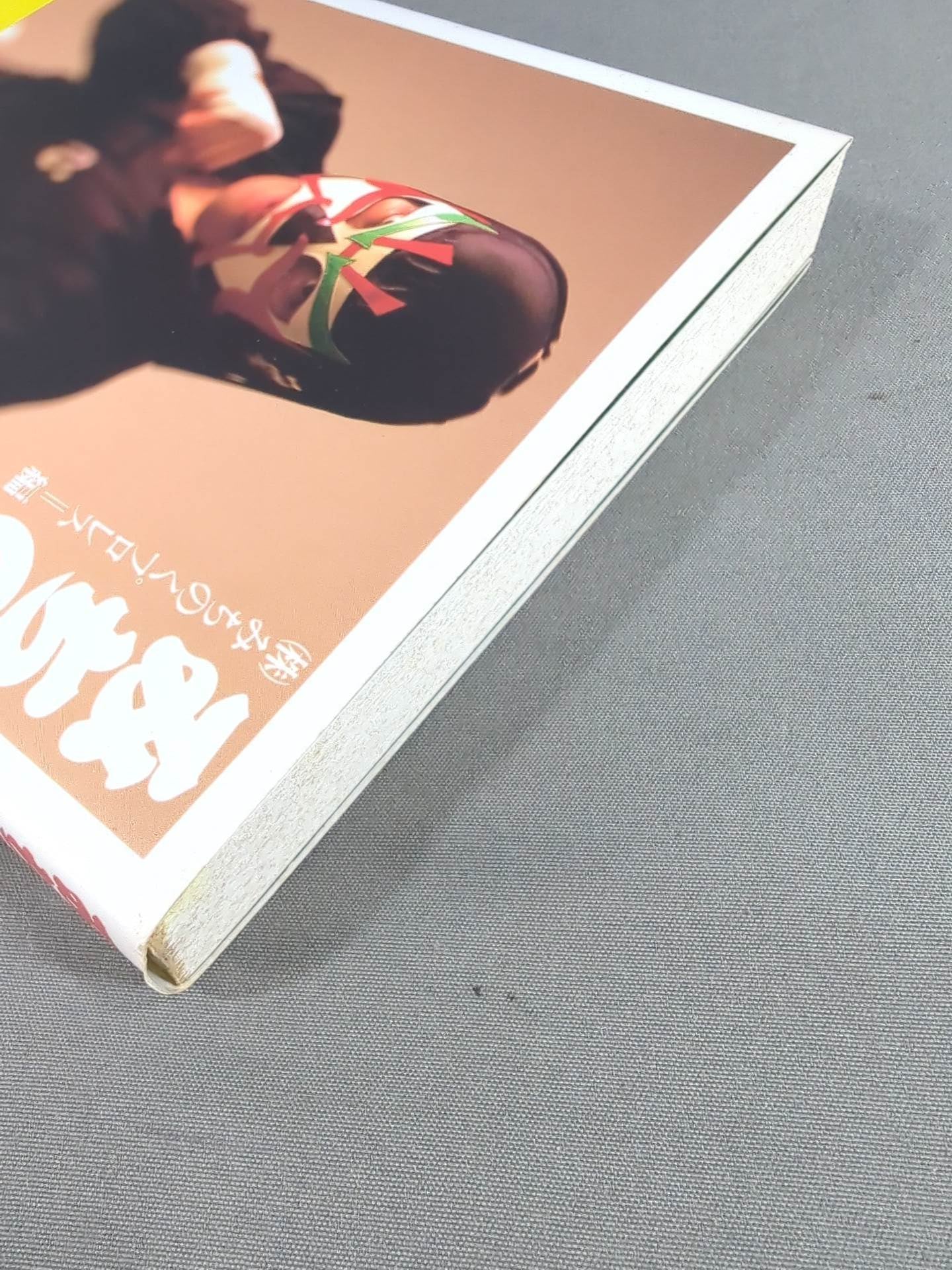 みちのくプロレス パンフレット サイン入り みちプロ バックナンバー みちのくプロレスパンフレット最新号 165 | みちのくプロレス
