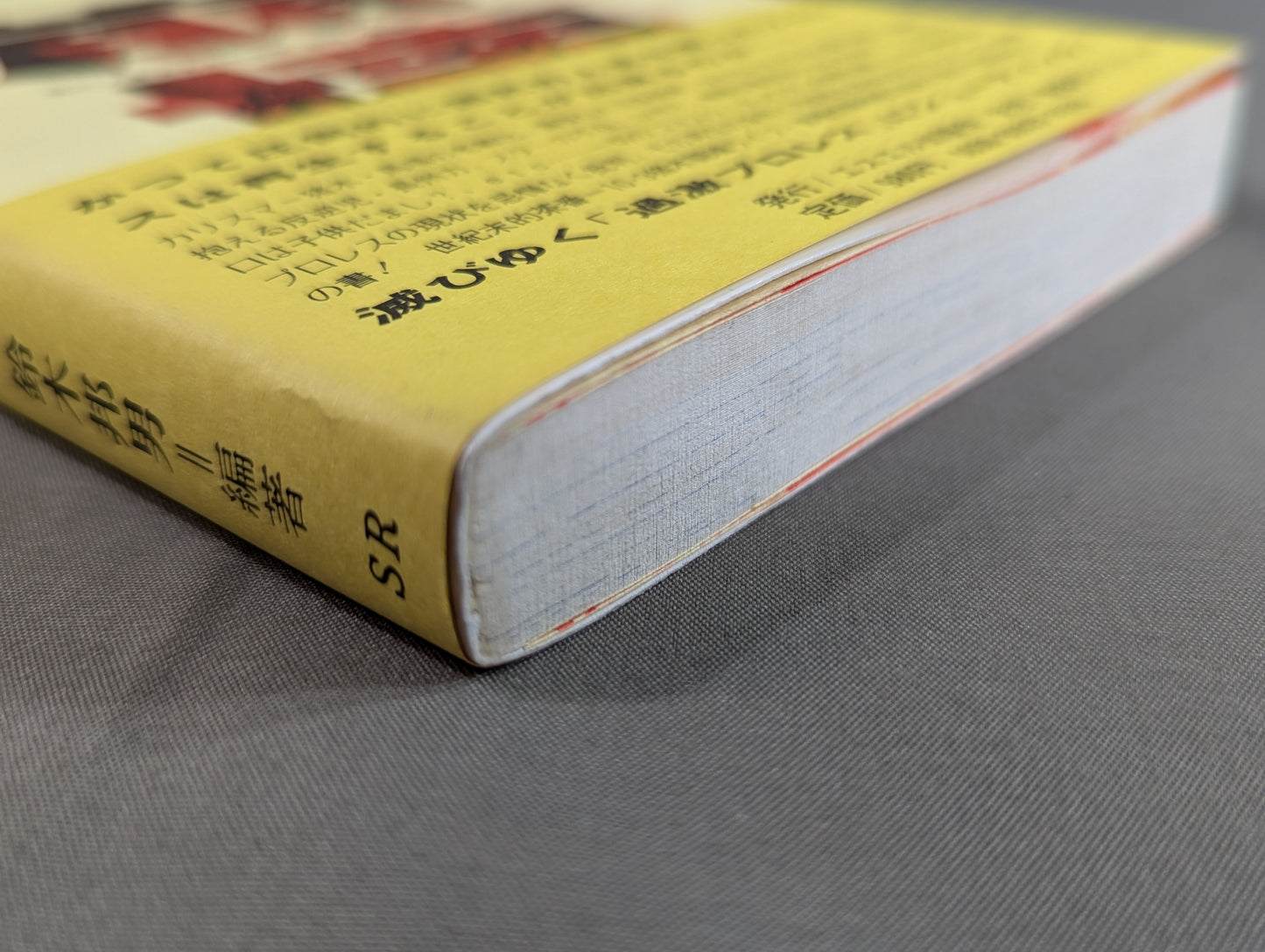 Antonio Inoki  Radical The collapse of Pro Wrestling