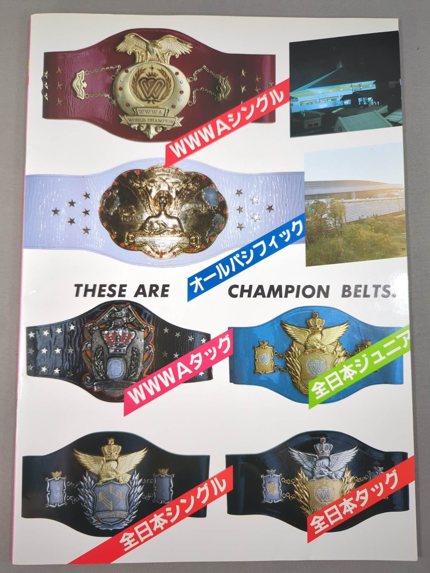 ジャパングランプリ86 / リングスター特別号