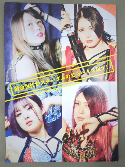 STARDOM OFFICIAL GUIDE BOOK Vol.137
