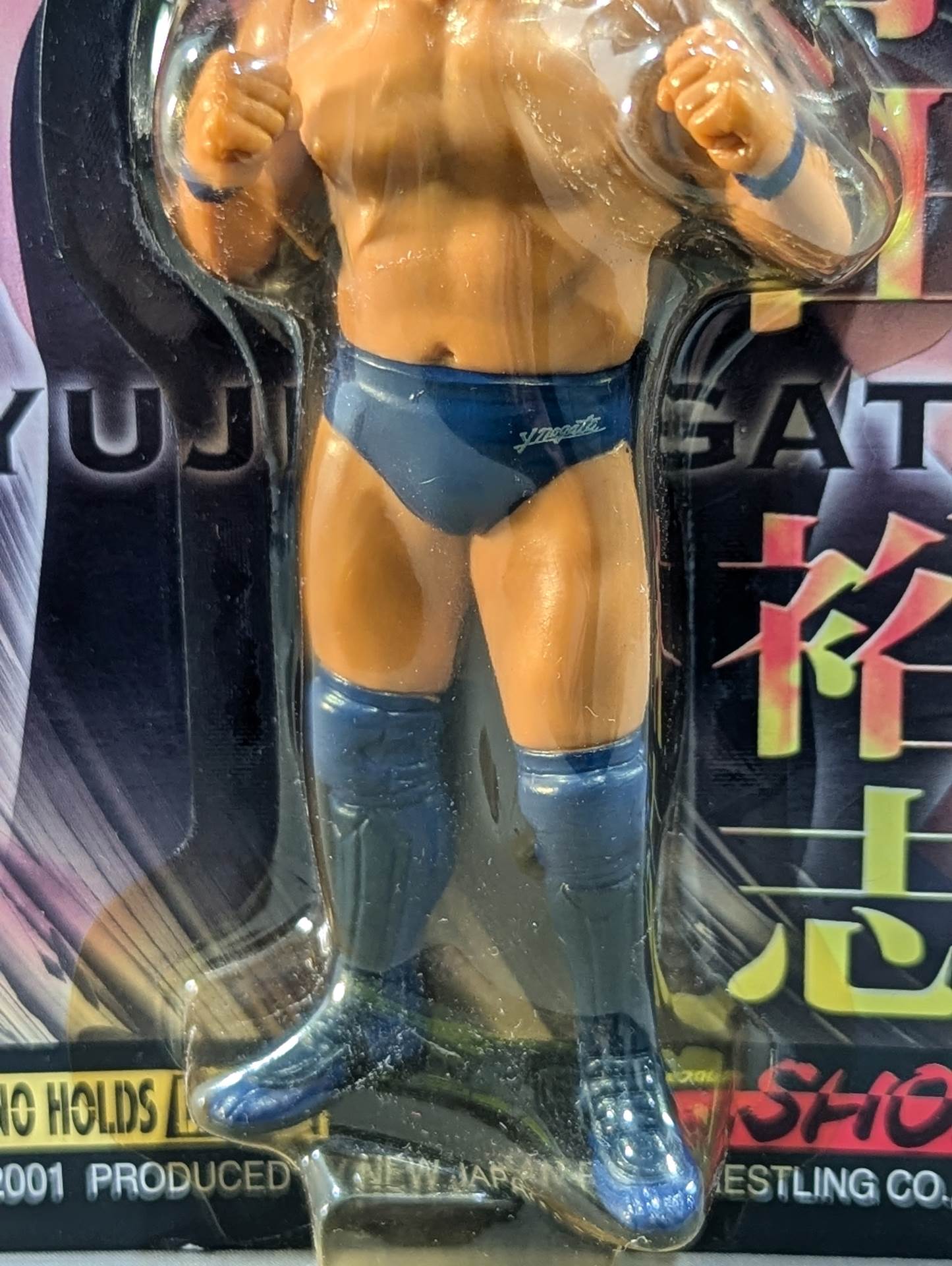 永田裕志(青タイツ・Be Ambitiousタイツ)