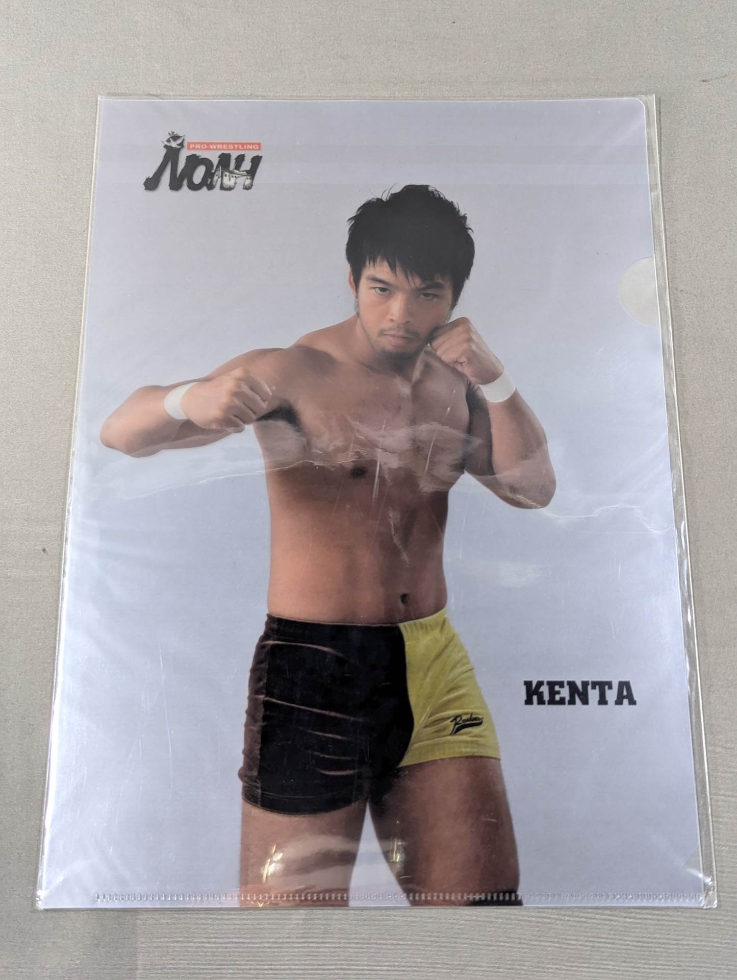 プロレスリングNOAH クリアファイルセット④ – 闘道館