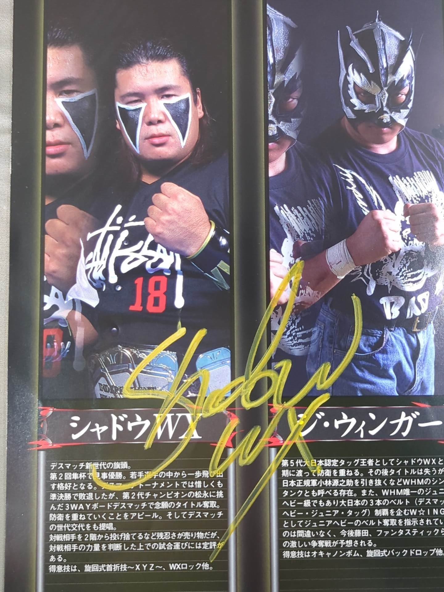 【2選手直筆サイン入り】BJW Watch up for the INDIS