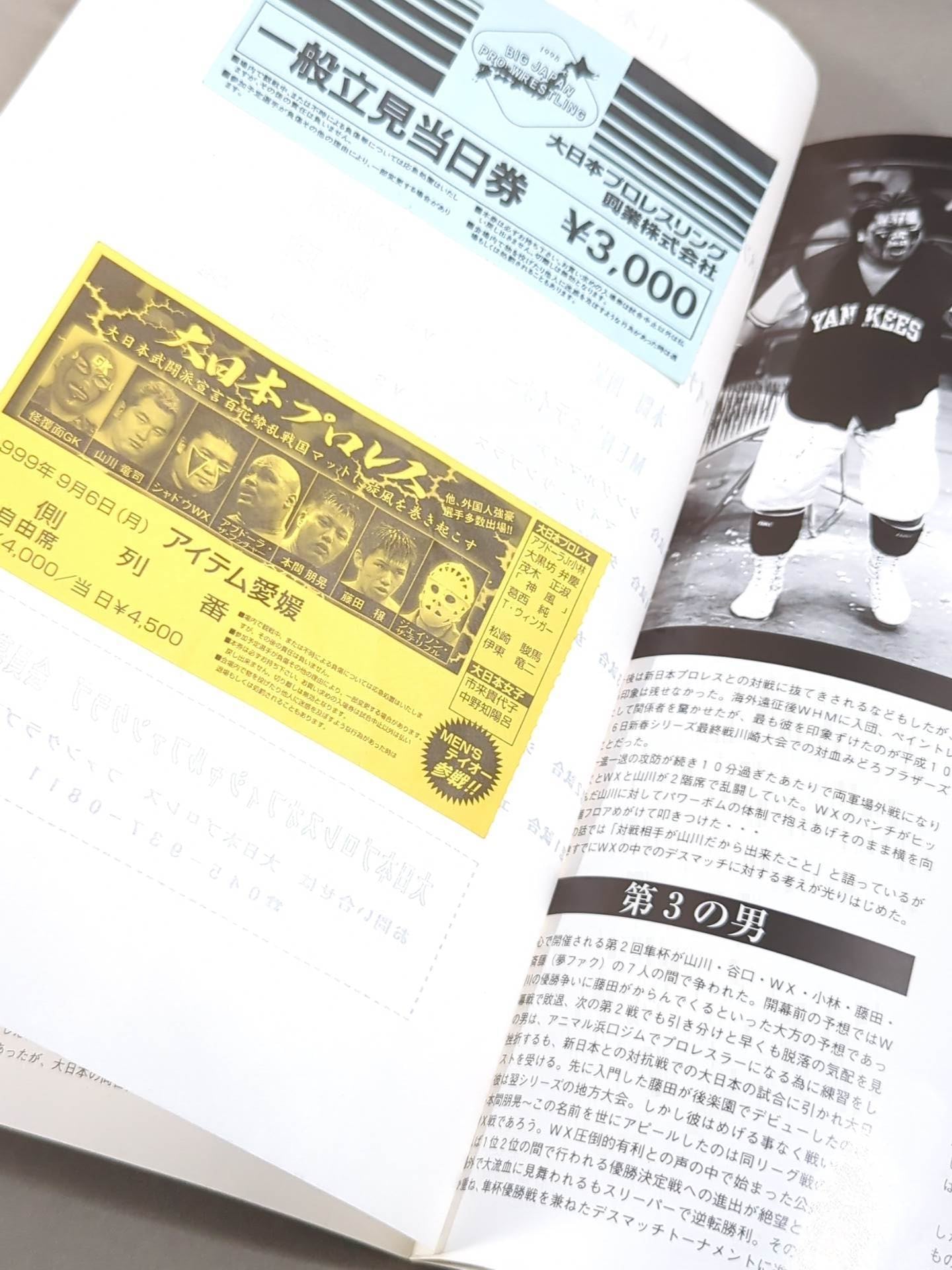 【2選手直筆サイン入り】BJW Watch up for the INDIS