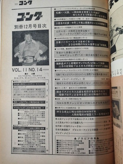 別冊ゴングVol.11 No.13