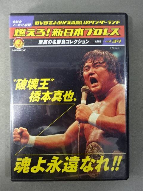 燃えろ!新日本プロレス vol.34