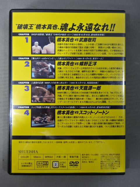燃えろ!新日本プロレス vol.34