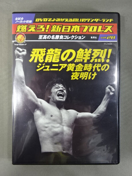 燃えろ!新日本プロレス vol.28