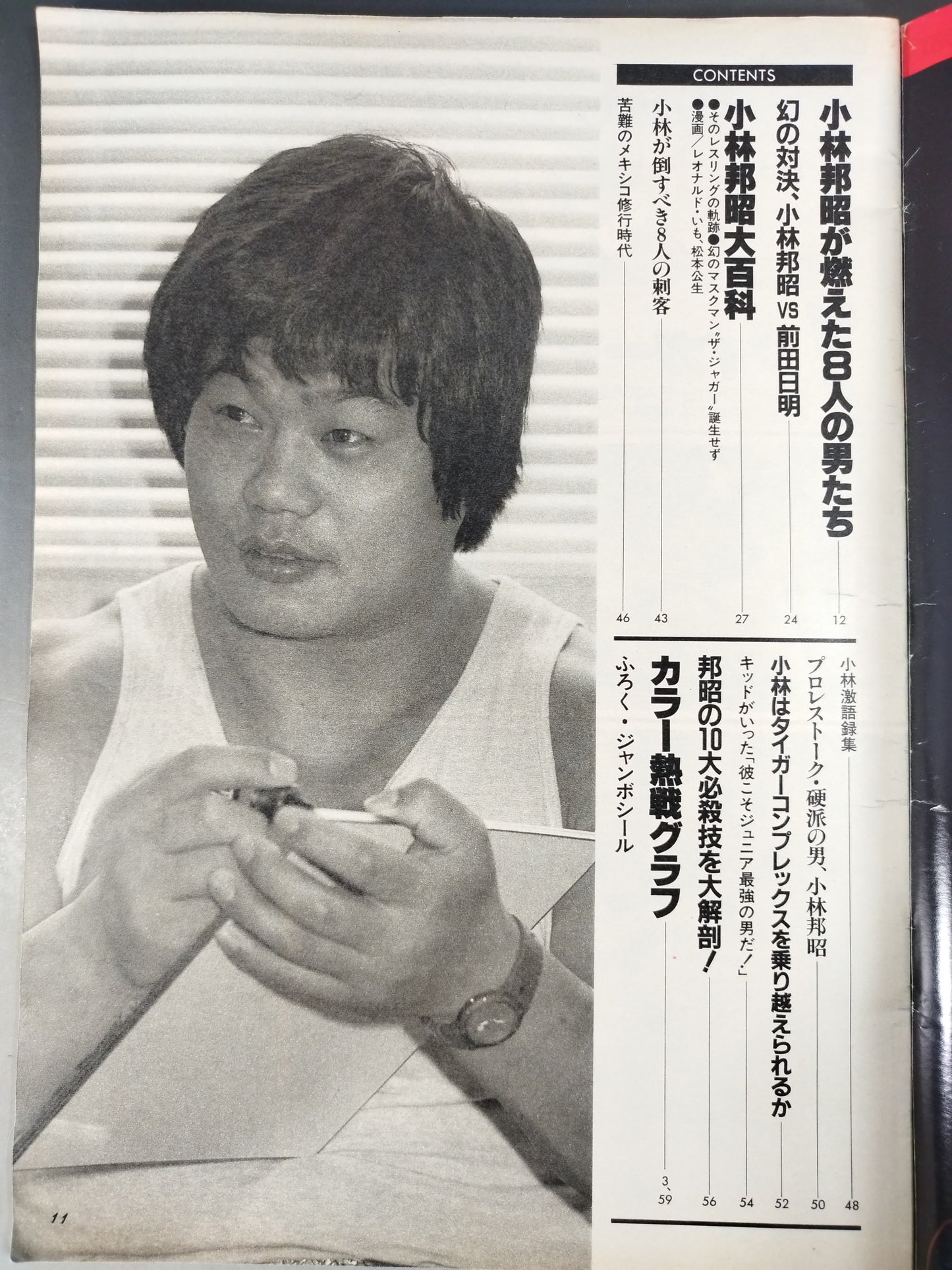 プロレスアルバム61 小林邦昭