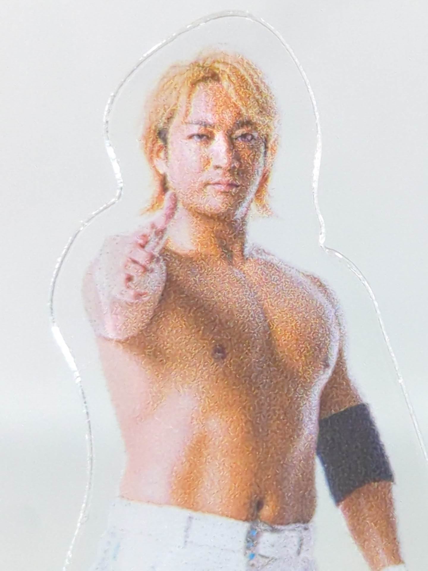 ☆シンニチプレミアムくじ☆ 海野翔太 アクリルスタンド – 闘道館