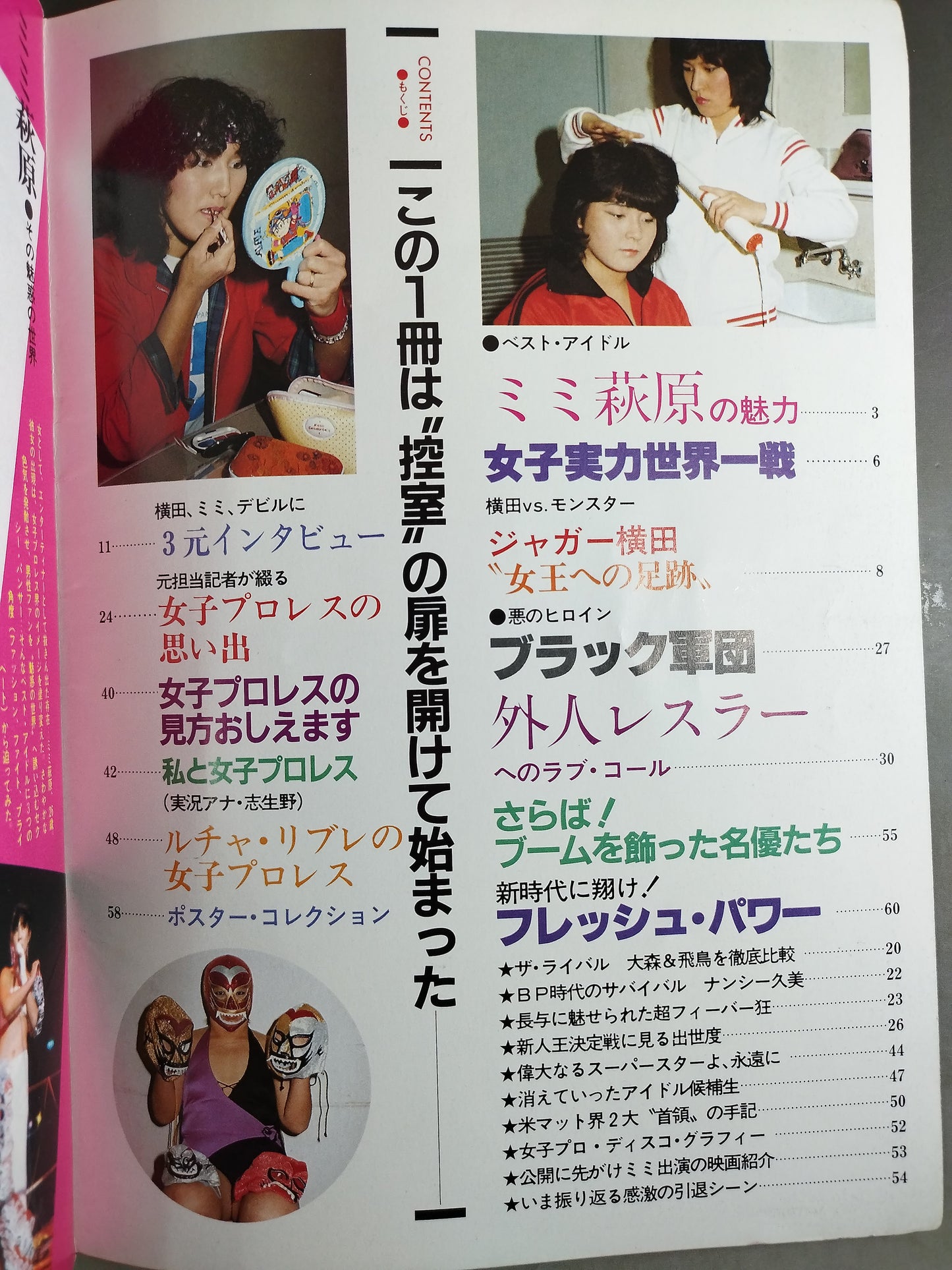 プロレスアルバム21 リングに咲いた恋人たち