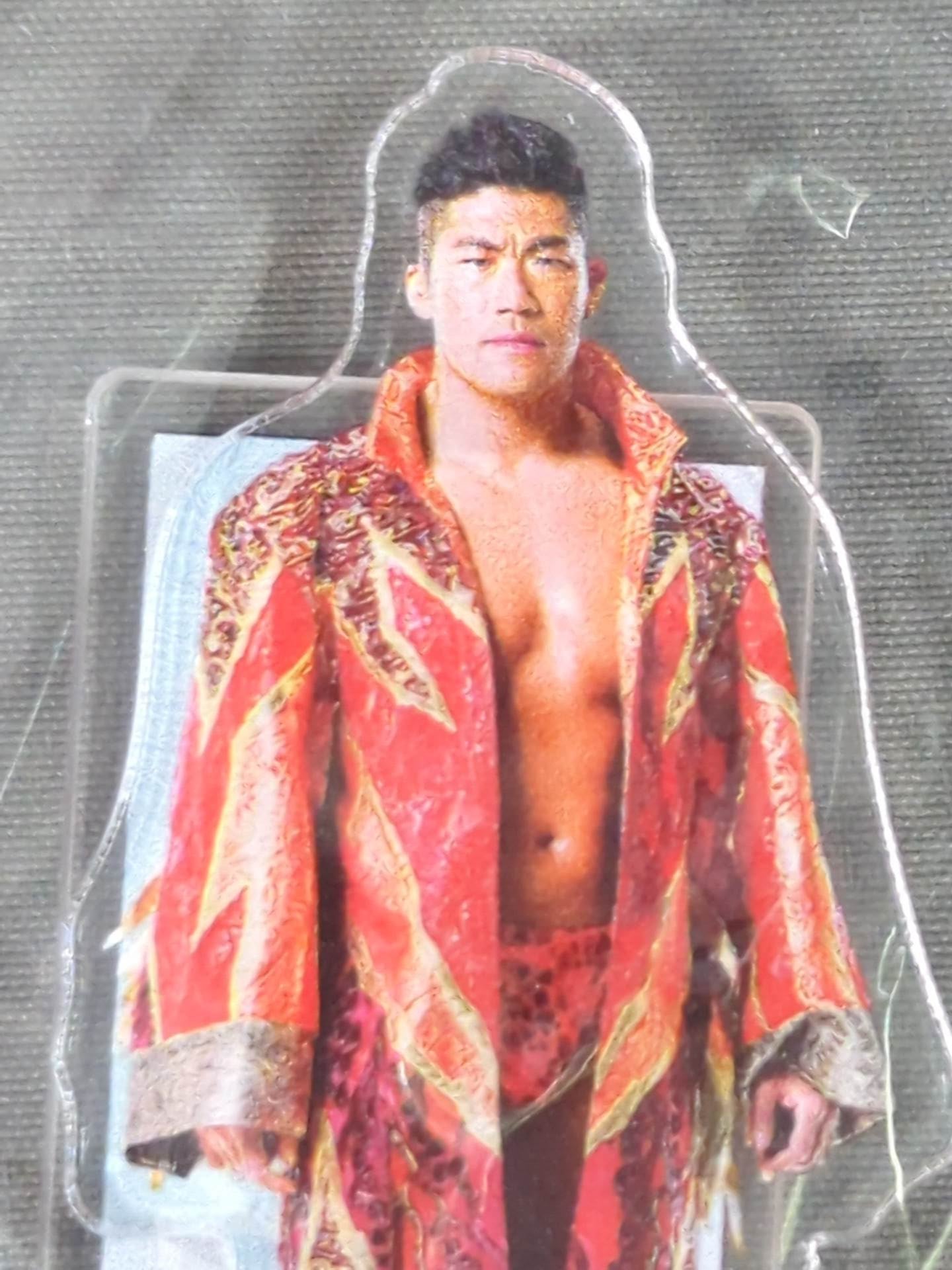 ★ Shinnichi Premium Lottery ★ SANADA Acrylic Stand