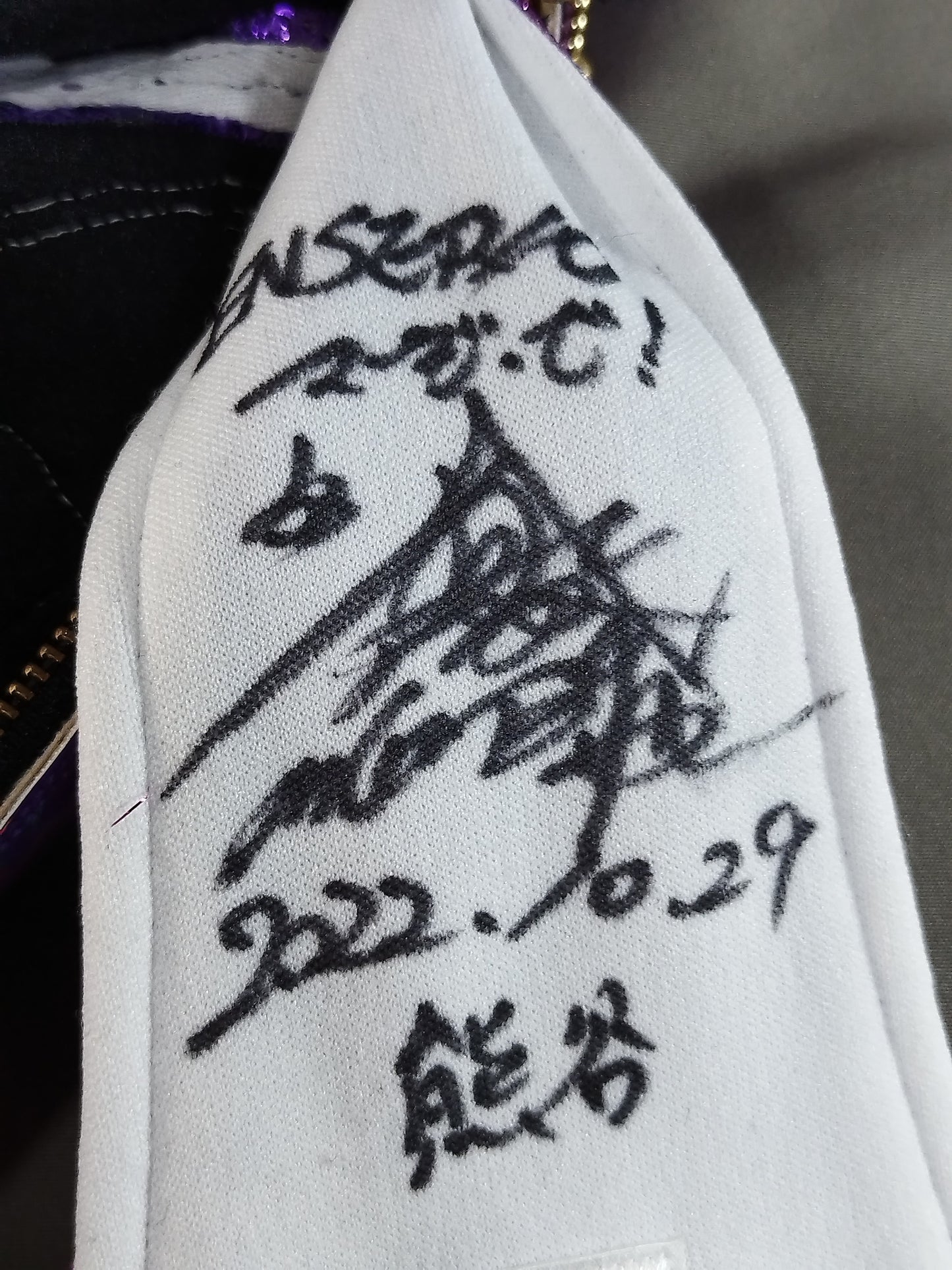 BUSHI